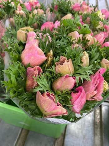 274483719_4842022789217418_7340629265889962108_n