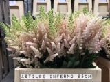 Astible-Inferno