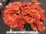 Nelken-Crazy-Horse