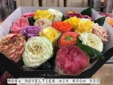 Rosa-Novelties-Mix