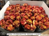 Rosa-Pirouette