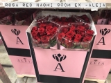 Rosa-Red-Naomi