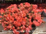 Rosa-Spray-Tropical-Rain