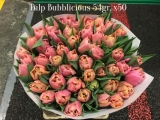 Tulp-Bubblicious