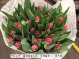 Tulp-Google