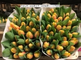Tulp-Marit