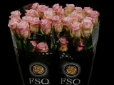 Faith