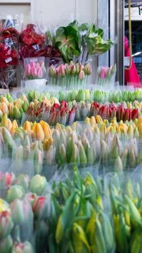162274872_3783010861788438_1486897534223969060_n