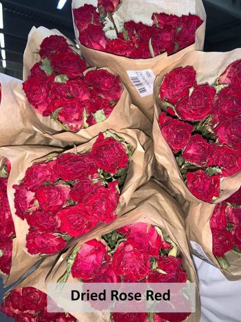 VahldiekAG_Webshop_Blumengroßhandel_Driedflower_070820-32