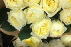 Blumen-vahldiek-schnittblumen-vahldiekag_-55