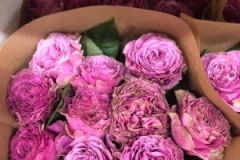Blumen-vahldiek-schnittblumen-vahldiekag_-58