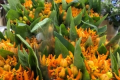 Blumen-vahldiek-schnittblumen-vahldiekag_-67